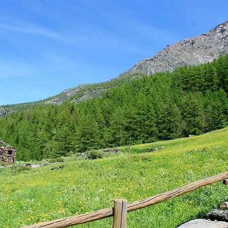 Maison Des Myrtilles