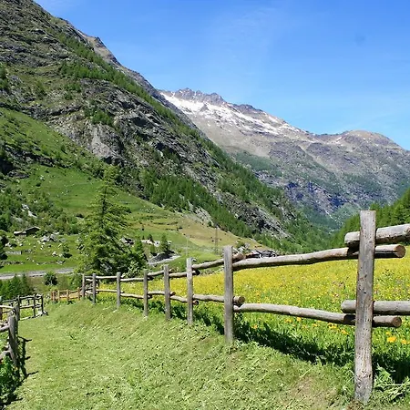 Maison Des Myrtilles Valgrisenche