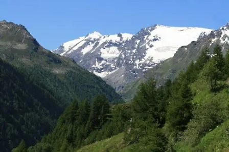 Maison Des Myrtilles Hotel Valgrisenche