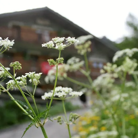 Maison Des Myrtilles Hotel