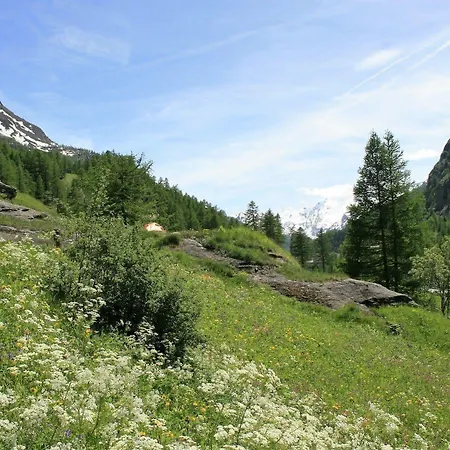 Maison Des Myrtilles